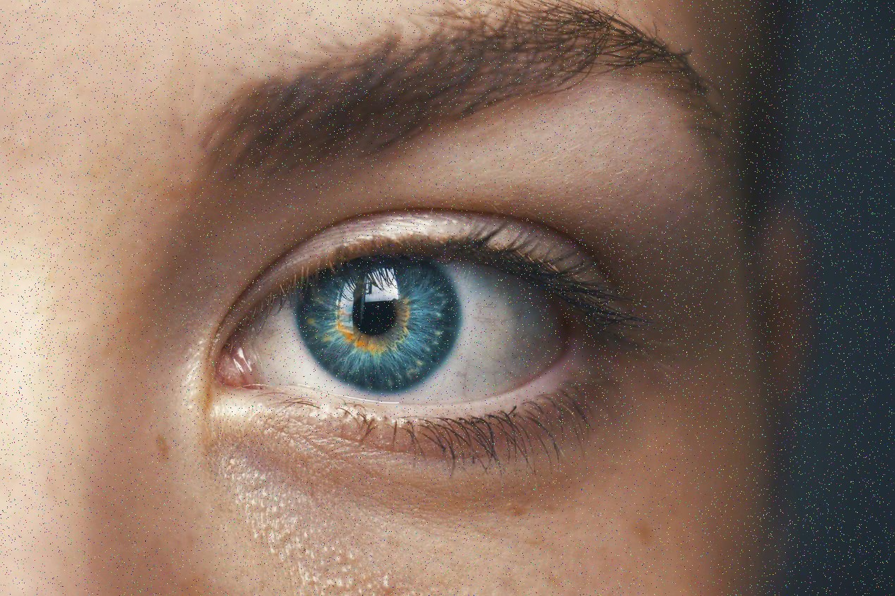 Anna - lead designer
